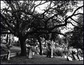 Picture Title - Boot Hill Cemetery