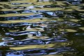 Picture Title - Abstract Ripples