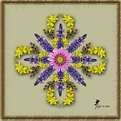 Picture Title - Flower Mandala