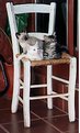 Picture Title - cats&chair