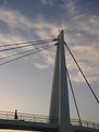 Picture Title - bridge
