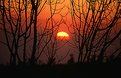 Picture Title - sun set
