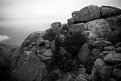 Picture Title - Old Rag Mtn.