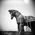 Picture Title - Holga Trojan