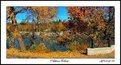 Picture Title - Autumn Colours