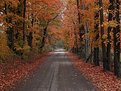 Picture Title - Old Country Road