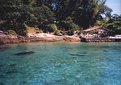 Picture Title - paradise