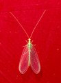 Lacewing on Coke machine