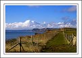 Picture Title - Footpath to West Bay