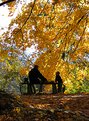 Picture Title - A bench