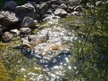 Picture Title - reflections
