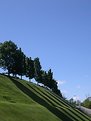 Picture Title - Montreal in May