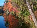 Picture Title - more fall reflections