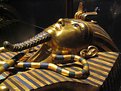 Picture Title - King Tut