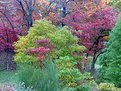 Picture Title - Autumn Impressions 2