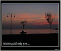 Picture Title - Waiting Silently For ...  (Vol1)