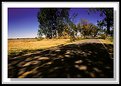 Picture Title - Country road