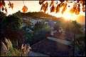 Picture Title - Aljarafe