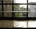 Picture Title - wet window sill