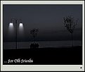 Picture Title - ... for Old Friends.(Vol 2)