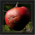 Picture Title - .....