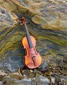 Picture Title - Duet   Violin and Nature