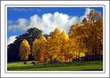 Picture Title - Autumn colours at Longleat