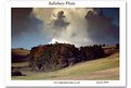 Picture Title - Salisbury Plain