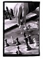 Picture Title - Making a Move