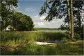 Picture Title - Summer