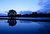 Blue River Tree