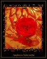 Picture Title - Symphony in Chrystal and Rose