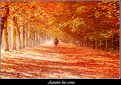 Picture Title - Autumn has come...