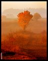 Picture Title - Autumn landscape: morning