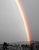 spectral-colored