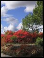 Picture Title - Autum in Cardenete