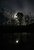 Moon Reflections