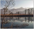 Picture Title - Beside the river