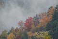 Picture Title - Fall color and fog