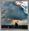 Picture Title - Tempo Cyclist