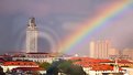 Picture Title - University of Texas POT of Gold