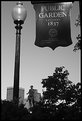 Picture Title - Boston Public Gardens