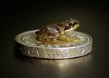 Picture Title - Frog on a pound