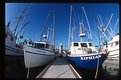 Picture Title - Blue Boats