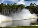 Picture Title - Swamp  Buggy  Heaven