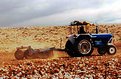 Picture Title - tractor
