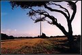 Picture Title - San Jacinto Monument