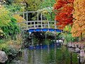 Picture Title - Blue bridge