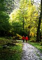 Picture Title - Ladies In Red