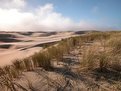 Picture Title - Oregon Dunes